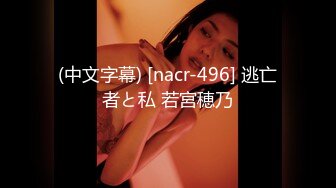 (中文字幕) [nacr-496] 逃亡者と私 若宮穂乃