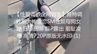 【性爱调教全网首发】推特调教系大神虐恋SM性奴母狗女奴 狂操捆绑 群P露出 羞耻凌辱 高清720P原版无水印 (1)