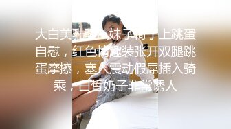 大白美乳骚气妹子椅子上跳蛋自慰，红色情趣装张开双腿跳蛋摩擦，塞入震动假屌插入骑乘，白皙奶子非常诱人