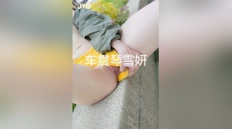 车震琴雪妍