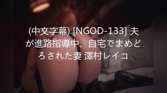 (中文字幕) [NGOD-133] 夫が進路指導中、自宅でまめどろされた妻 澤村レイコ