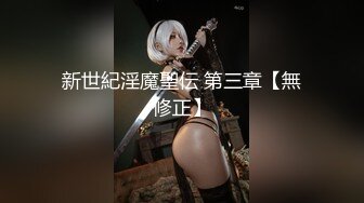 新世紀淫魔聖伝 第三章【無修正】