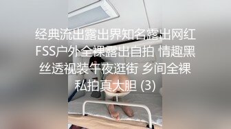 经典流出露出界知名露出网红FSS户外全裸露出自拍 情趣黑丝透视装午夜逛街 乡间全裸私拍真大胆 (3)