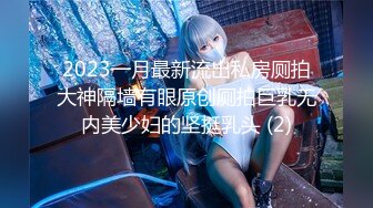 2023一月最新流出私房厕拍大神隔墙有眼原创厕拍巨乳无内美少妇的坚挺乳头 (2)