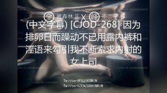 (中文字幕) [CJOD-268] 因为排卵日而躁动不已用露内裤和淫语来勾引我不断索求内射的女上司