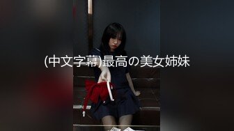 (中文字幕)最高の美女姉妹