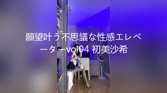 願望叶う不思議な性感エレベーターvol04 初美沙希