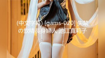 (中文字幕) [gams-020] 失禁の飲精長身婦人 池江真莉子