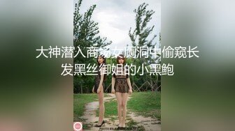 大神潜入商场女厕洞中偷窥长发黑丝御姐的小黑鲍